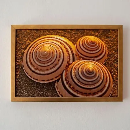 Apartament Seashell